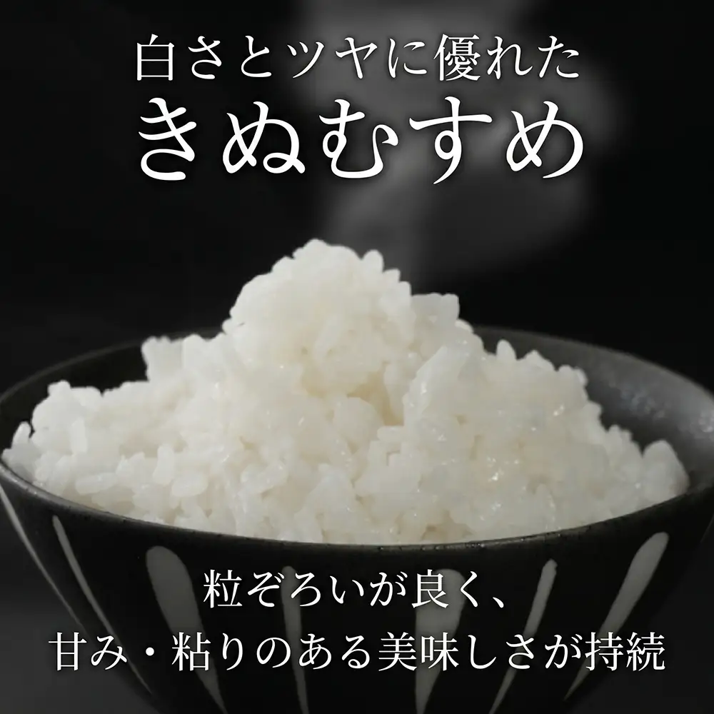  新米 先行予約 きぬむすめ 5kg 12回定期便  新米【令和8年産】
