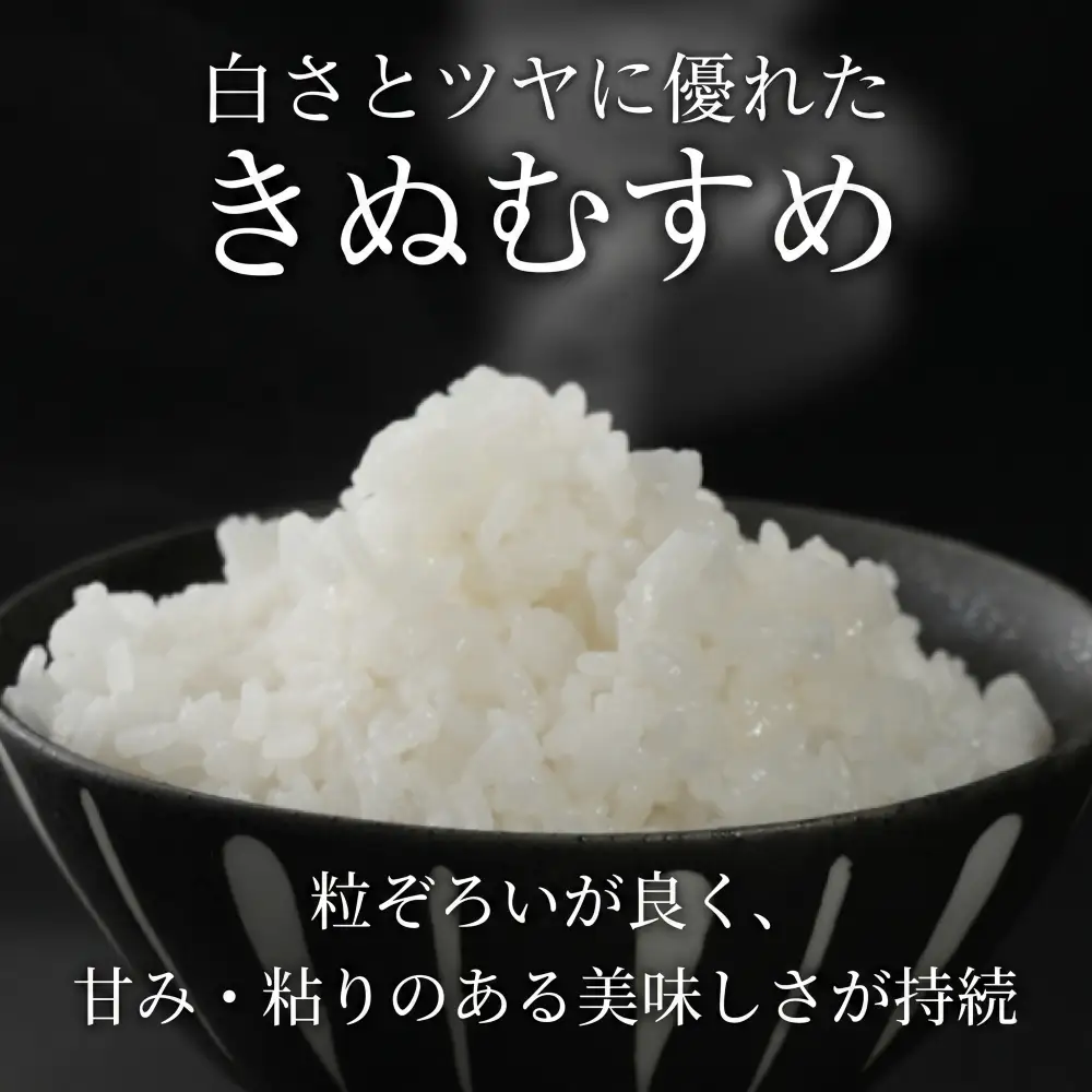 新米 令和8年産 きぬむすめ 白米 5kg 2026年産