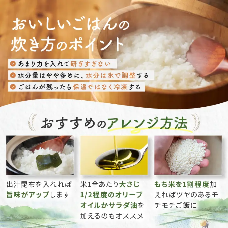 【栃木県共通返礼品】令和7年度産 栃木県産 ブレンド米 5kg