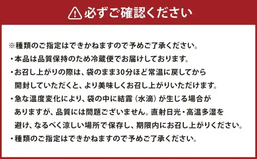 夏季限定 焼菓子詰め合わせセット 7個入り （ パウンドケーキ 4個 フィナンシェ 2個 マドレーヌ 1個 ） お菓子 菓子 おかし スイーツ 洋菓子 焼菓子 詰め合わせ セット 手作り