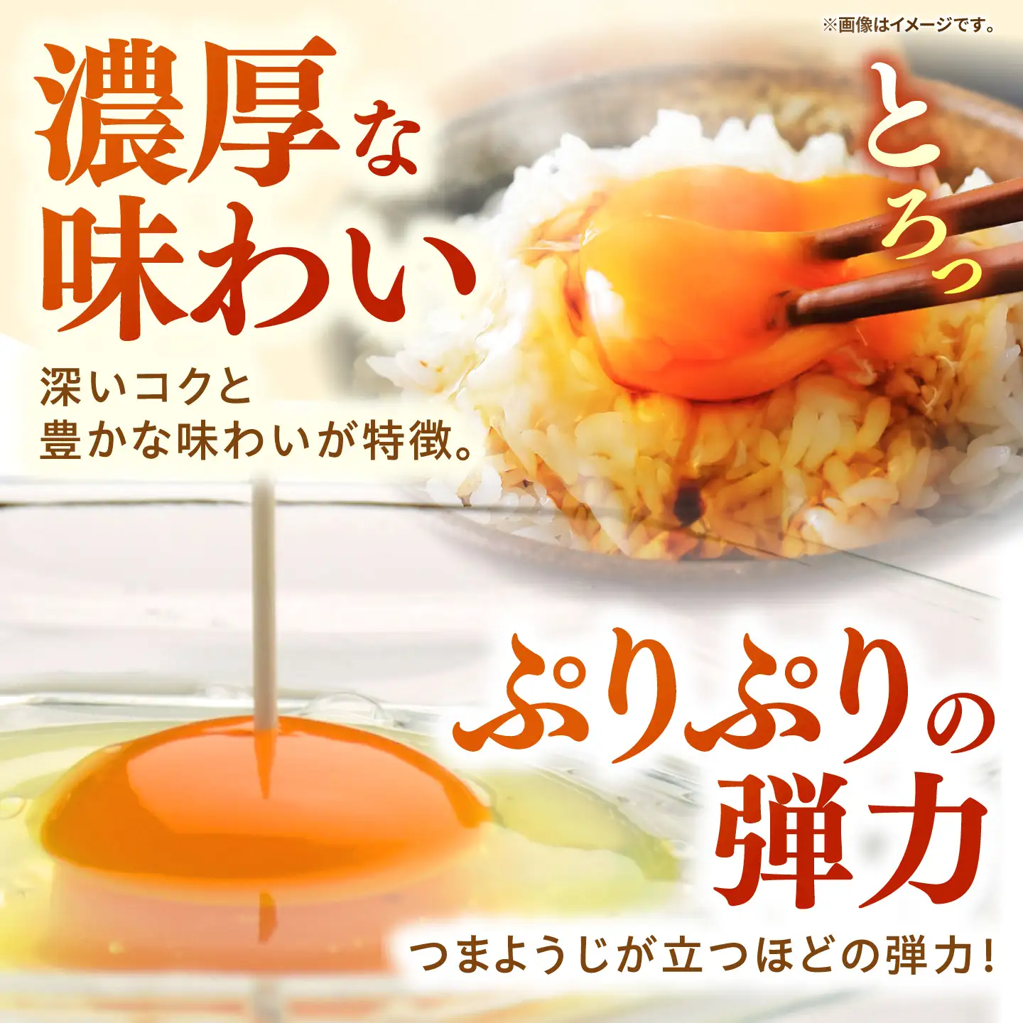 【全12回定期便】特選 素直な恋たまご 50個 《壱岐市》【しまのたまご屋さん】 [JAP025] 卵 たまご 鶏卵 玉子 ギフト 国産 卵かけご飯 たまごかけご飯 のし 定期便[JAP025]