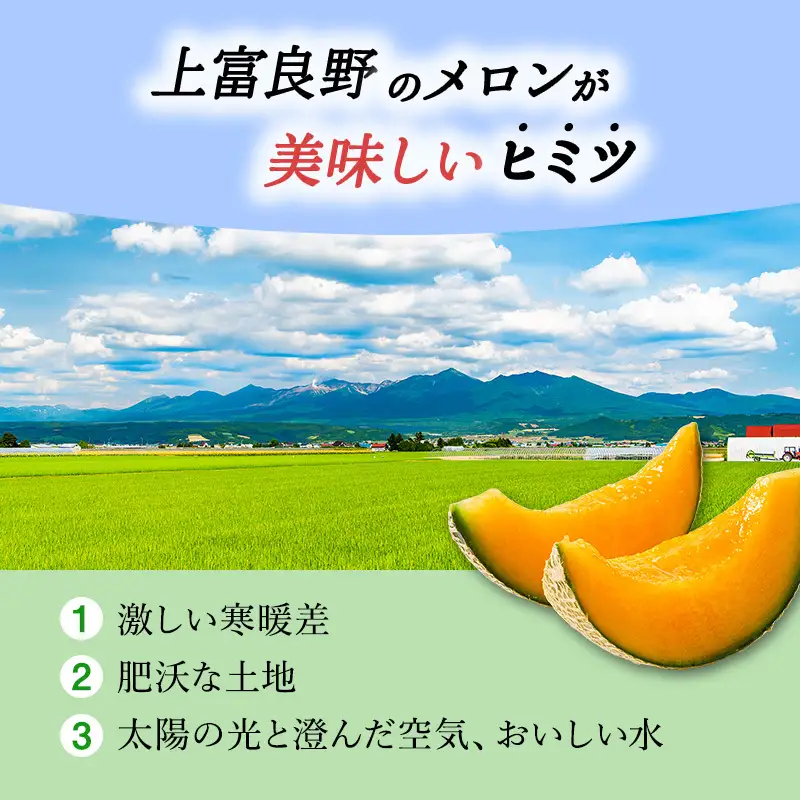 【令和8年産】赤肉メロン 約2kg 2玉 JAふらの 果物 フルーツ メロン