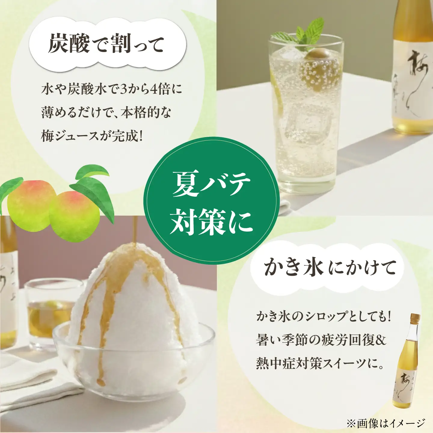 【全3回定期便】梅シロップ 七折小梅の梅シロップ 500ml×1本 / 梅シロップ シロップ 梅 うめ ウメ 七折小梅 梅ジュース 国産 砂糖 炭酸割り うめジュース 希釈用 プレゼント ギフト 人気 おすすめ / 愛媛県砥部町/農事組合法人ななおれ梅組合[BJAG006]
