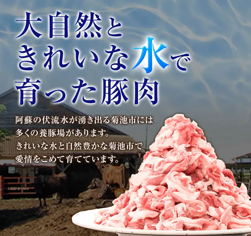 豚肉 切り落とし 1.5kg 焼肉いしい 株式会社石井牧場《30日以内に出荷予定(土日祝除く)》 