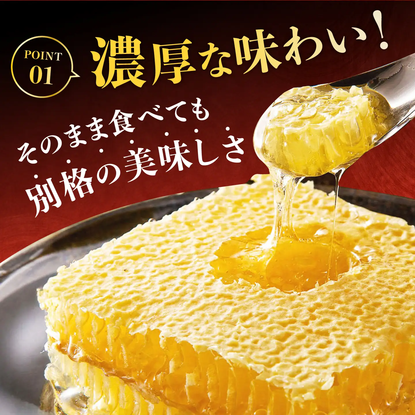 国産巣みつ 300g×5箱　広川町/株式会社九州蜂の子本舗[AFAI049]