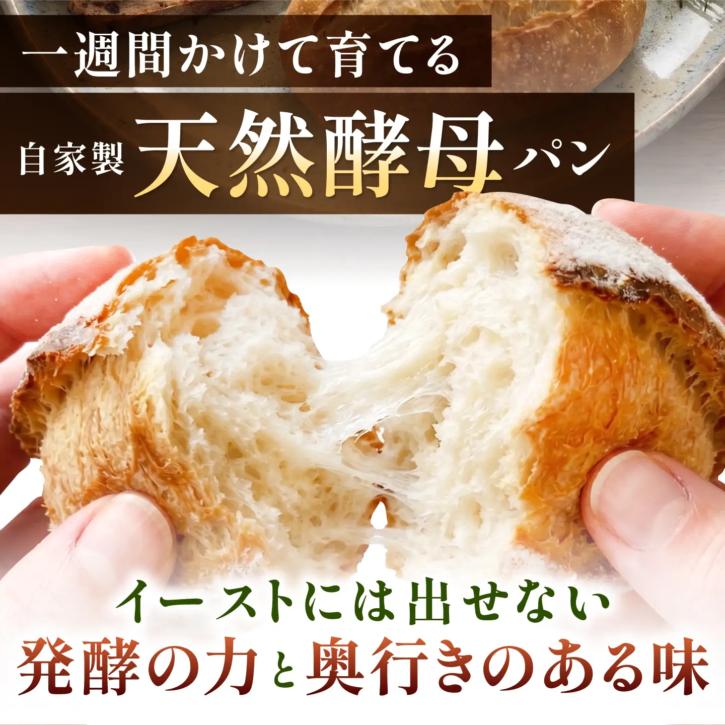 RENZO ハード系パン 人気7～8種セット / パン パンセット 天然酵母パン セット 冷凍 ハード系 ハードパン 詰め合わせ カンパーニュ めんたいフランス ぱん 朝食 / 諫早市 / 蓮三[AHEN001]