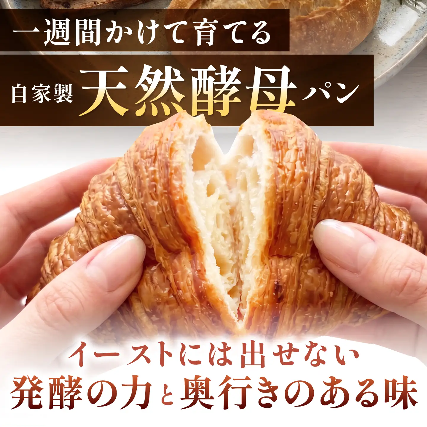 天然酵母パン15種 AHEN003 パン パン パン パン