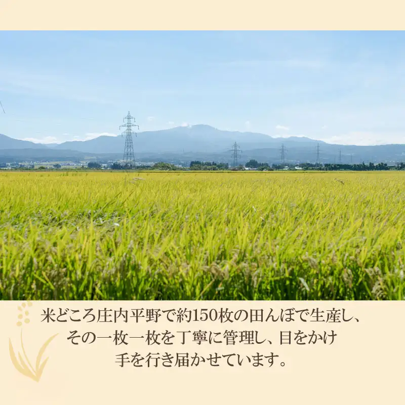 【令和8年産先行予約】 井上農場の特別栽培米 雪若丸 無洗米 8kg（2kg×4袋） K-856
