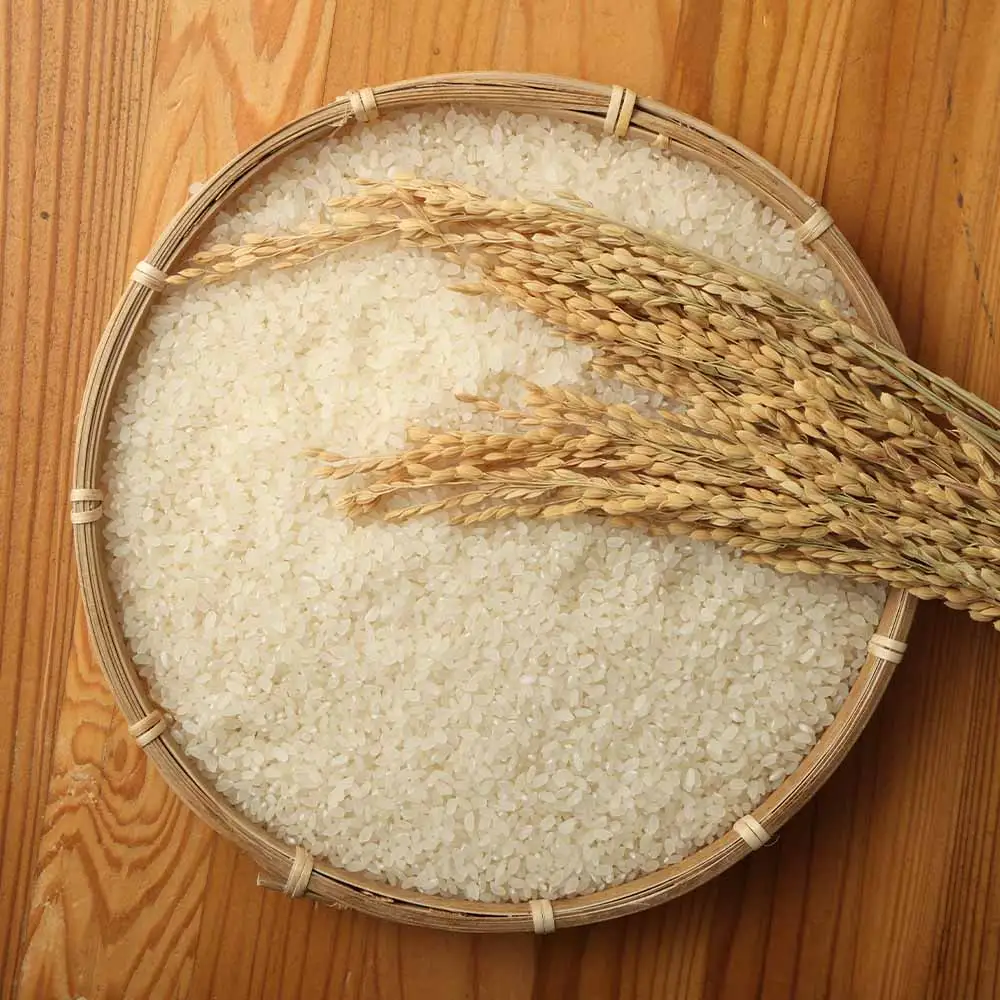 令和8年産 新米 コシヒカリ精米10kg 土佐清水市 【R01668】