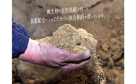 熟成豚肉セット 長谷川の自然熟成豚 味噌漬け ロース 熟成豚肉セット