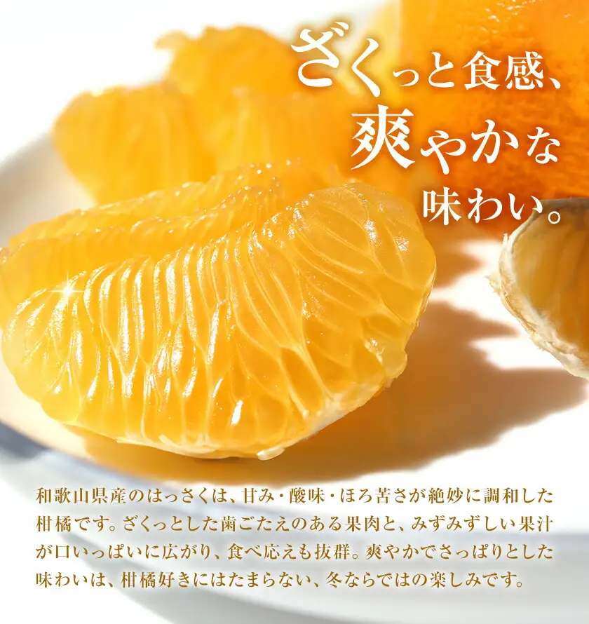 はっさく 訳あり 3kg 株式会社農業福祉研究機構