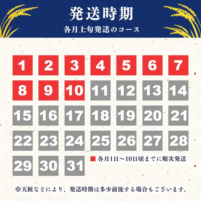 【〈毎月〉2026年11月上旬開始】《先行予約》【令和8年産 6回定期便】はえぬき 合計30kg（5kg×6回）清流寒河江川育ち 山形産はえぬき 山形県産 2026年産 精米 30キロ　069-C-JA022-202611上-毎月