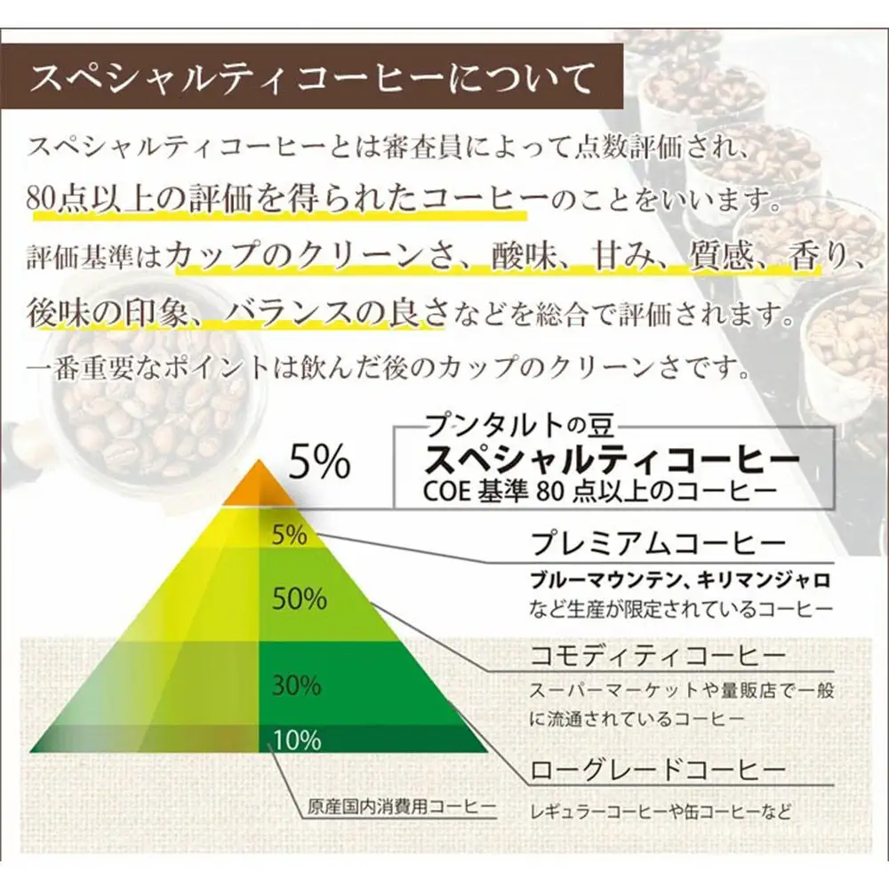 コーヒー粉 自家焙煎 ホンジュラス スペシャルティコーヒー 焙煎豆 200g 粗挽き【酸味系】 コーヒー粉