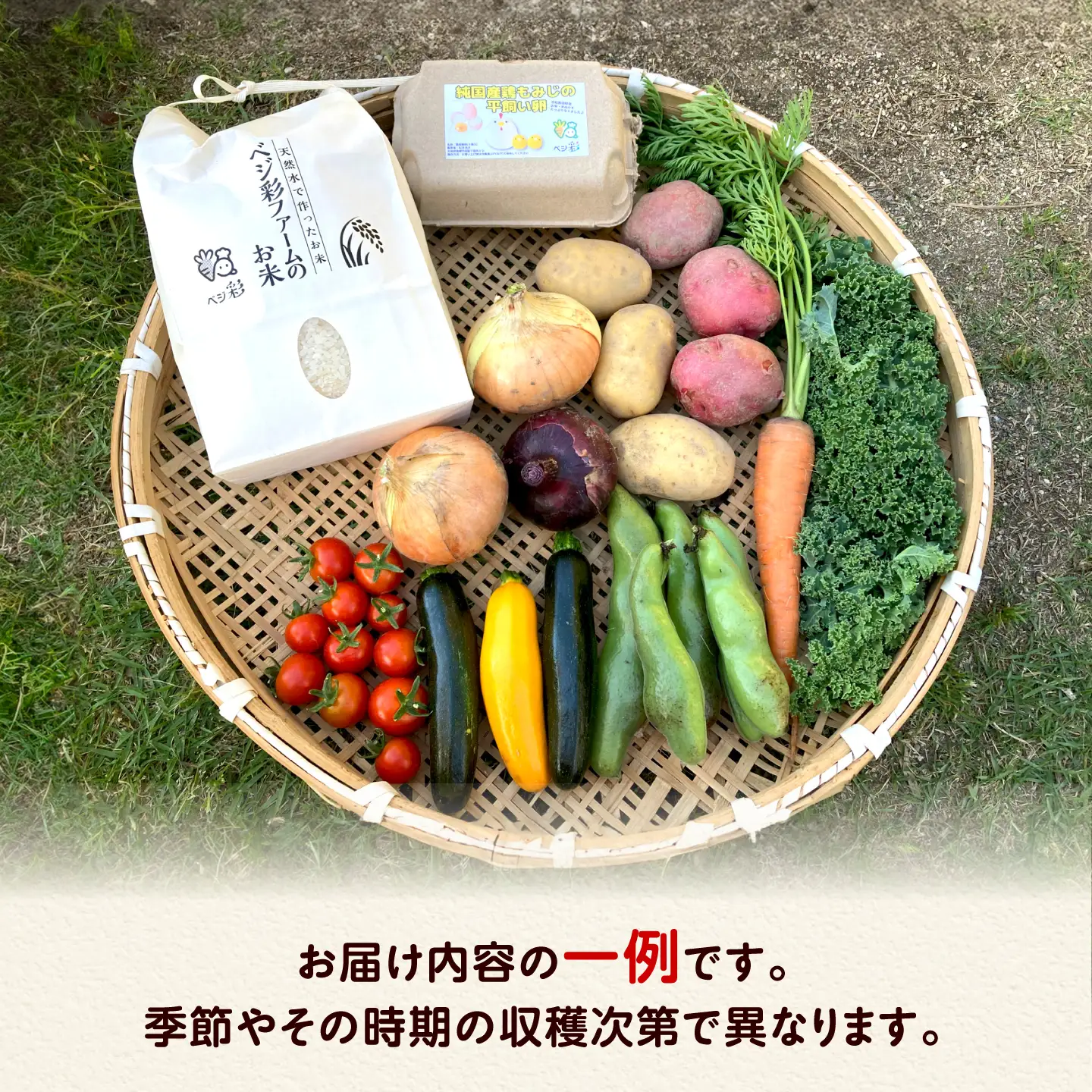 【全10回定期便/2026年10月以降発送】旬のお野菜3種類以上＆お米2kg＆平飼い卵セット 大阪府高槻市/ベジ彩ファーム[AOEJ018]