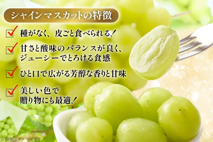 【期間限定発送】 シャインマスカット 3～4房 約2kg