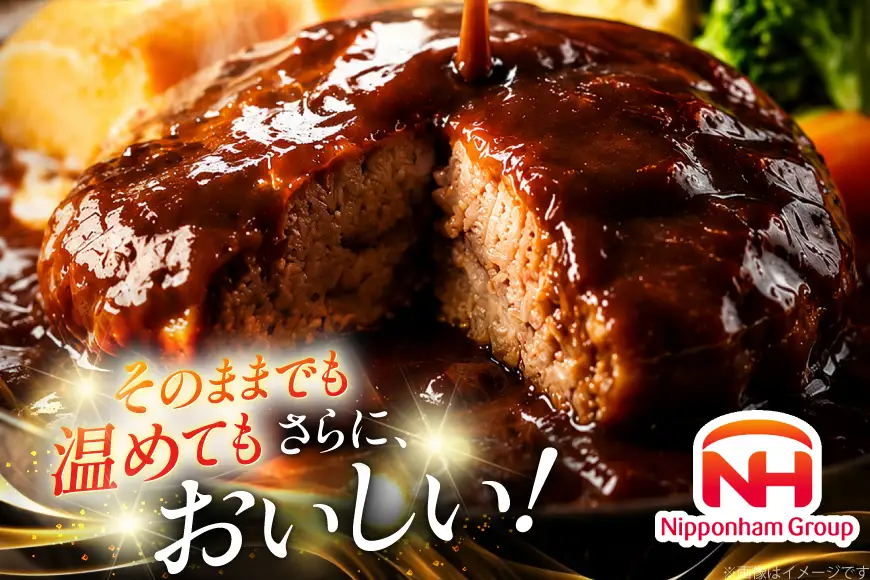 ハンバーグ 日本ハム まぼろしの味噌使用 デミグラスソース 150g 20個