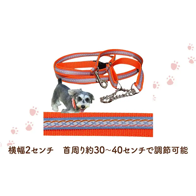 【中型犬用・Mサイズ】 ハーフチョークカラーとリードのセット（シルバーライン&蛍光オレンジ） ペット用品 首輪 リード 中型犬 日本製 ペット 犬 ワンちゃん 静岡 浜松市