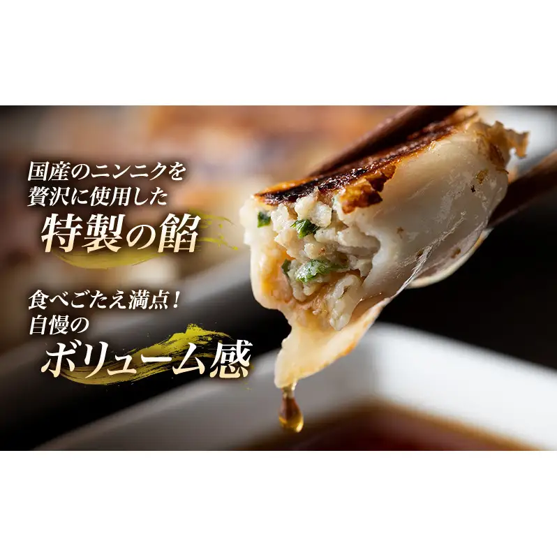 おたゑの手作り餃子16個入り たれ・からし付き（各1袋） 惣菜 中華 餃子 ぎょうざ ギョーザ おつまみ おかず 冷凍餃子 冷凍 静岡 浜松市 【配送不可：離島】