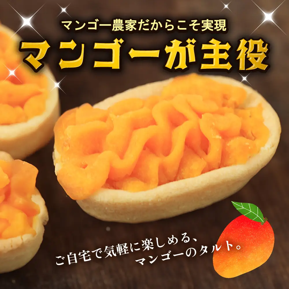 【琉花ファーム】マンゴー農家が作る本気のマンゴータルト 1箱 マンゴー お菓子 