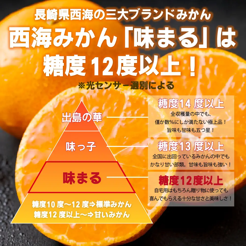 【 早期受付 】西海みかん 味まる 3kg 糖度12度以上 ブランドみかん 佐世保 