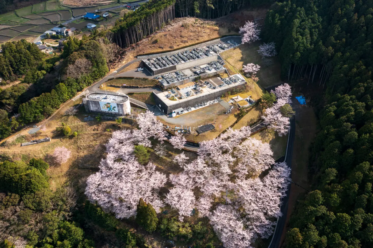 【四国初の樹木葬】奈良山霊苑 樹木葬（お一人様）第二期　普通区画【永代供養 樹木葬 墓じまい 合祀 納骨 お墓 供養 愛媛県 鬼北町 山下石材】