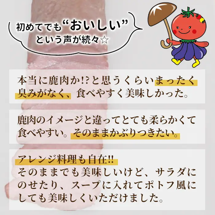 臭みがなく大人気★鹿肉ロースハム　2～4本 合計400ｇ 鹿 シカ肉 ハム ロースハム ジビエ ジビエ料理 ジビエの森 高タンパク 低カロリー 低脂肪 ヘルシー おつまみ 新鮮 肉 人気 国産 愛知県 鹿 ジビエ 9000円 9,000円 -252