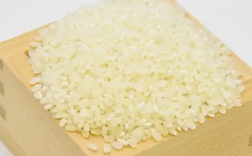 【 数量限定 ・ 訳あり 】令和7年産 コシヒカリ（ 5kg ）
