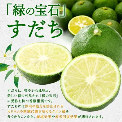爽快！ 100% すだち 果汁 2000ml JA徳島市農産工場 すだち