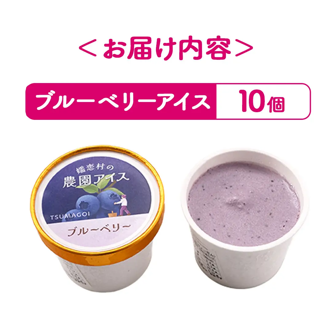 嬬恋村 の 農園アイス ブルーベリー 100ml 10個入り [AT021tu]