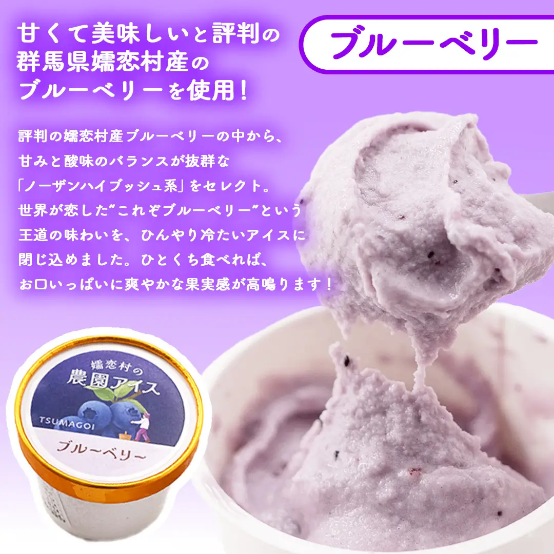 嬬恋村 の 農園 アイス 食べ比べセット 6個入（ さつまいも ・ ブルーベリー 各3個 ） [AT022tu]