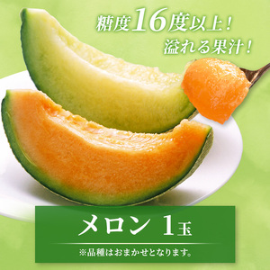 【2026年7月下旬頃より発送】すいか メロン 各1玉 セット すいか 大玉 Lサイズ 