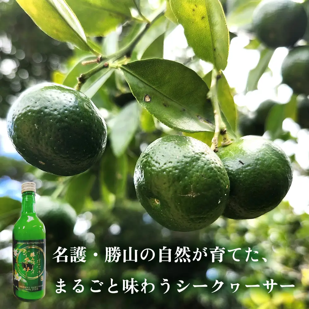 勝山ファームのシークヮーサージュース 500ml×3本入り シークヮーサー ジュース 沖縄 家庭用 原液 果汁 沖縄県産 炭酸 ギフト お土産 ご当地 健康 さっぱり 濃厚 １００％ ドリンク 飲み切り セット まとめ買い 飲み物