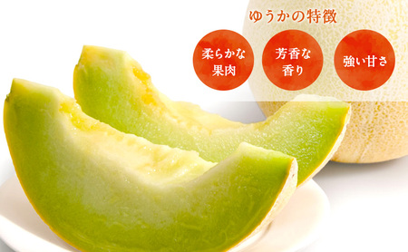 【先行予約】メロン 2玉 ゆうか タカミ メロン