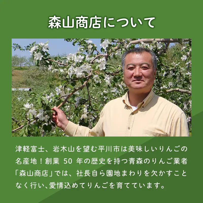 りんご サンふじ 訳あり 約5kg りんご