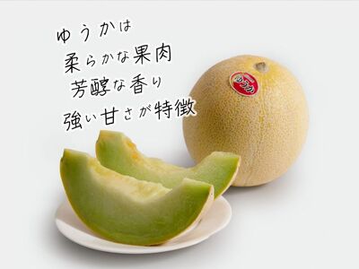 【先行予約】メロン 2玉 品種おまかせ メロン