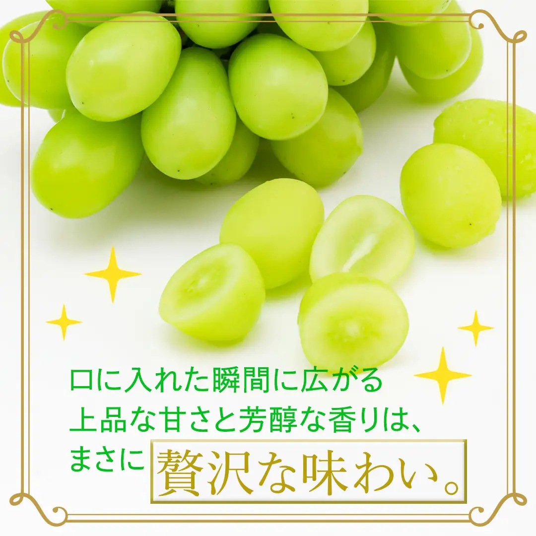 【定期便】3か月連続でお届け！ シャインマスカット 約5kg（約8～12房）【2026年8月から発送開始】（茨城県共通返礼品 [ぶどう]：結城市産）