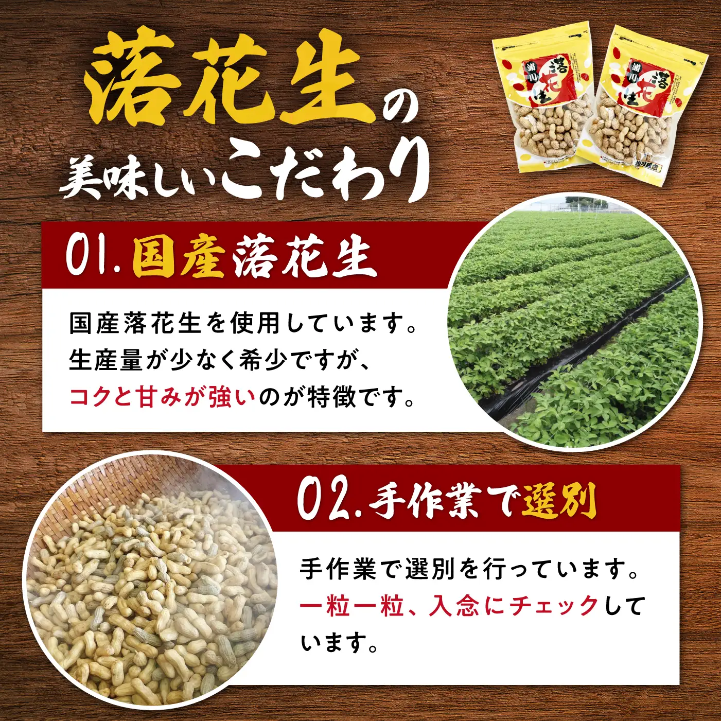 落花生 殻付き落花生300g×2袋 | ピーナツ ナッツ [ACZR018]