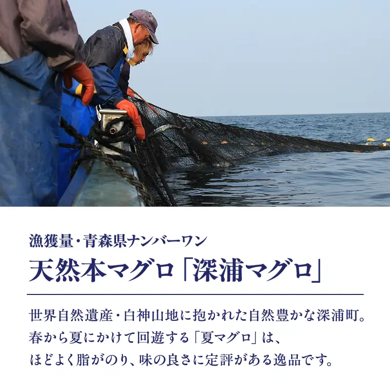  天然本マグロ 大トロ 200g×2  [fu-0015-018_12]