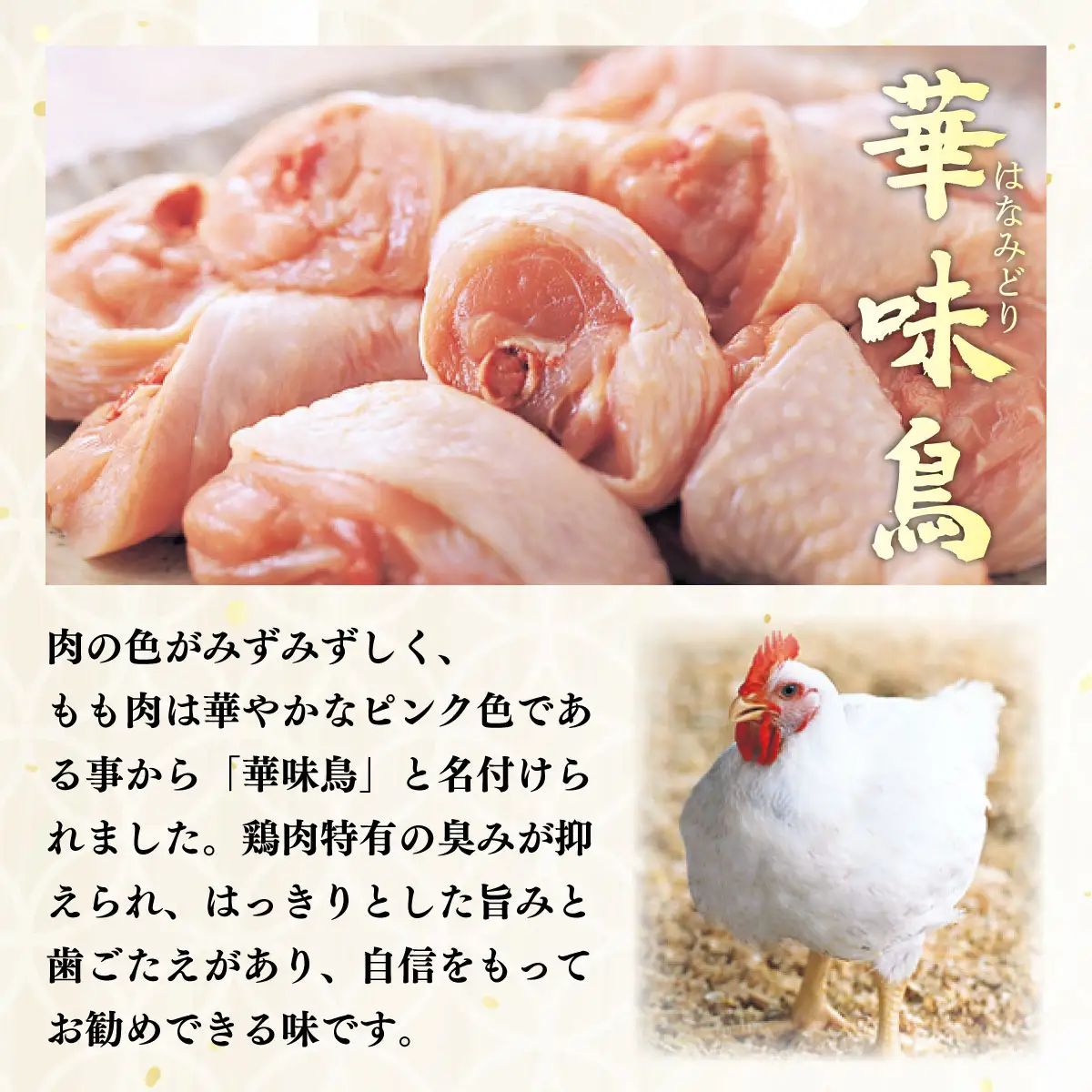 博多華味鳥スープをいただく水たきセット