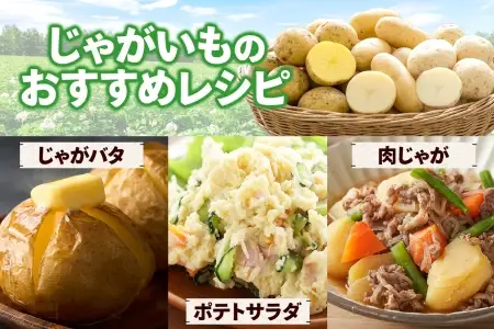 牧之瀬牧場 じゃがいも詰め合わせ 3kg 農薬不使用 3品種からおまかせ キタアカリ メークイン ワセシロ 北海道 弟子屈町 【ふるなび限定】3681
