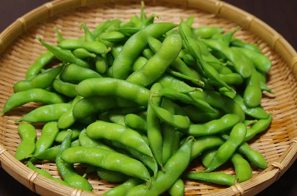 【朝採れ】手が止まらない！ 濃厚でコクのある枝豆 枝なし 280g×5袋 | 味風香 湯あがり娘 えだまめ 夏野菜 旬 新鮮 産地直送 ※2026年7月～発送