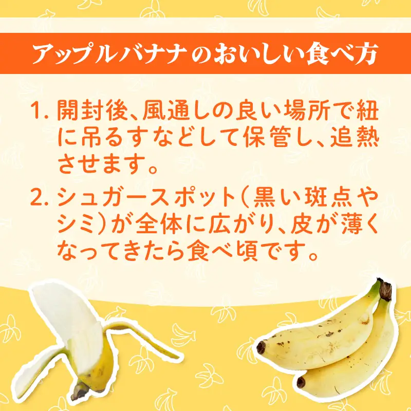 畑人のアップルバナナ 約3kg - バナナ ばなな 小ぶり もっちり とろける 甘さ 追熟 沖縄県 産地直送 果物 フルーツ 南国 朝食 おすすめ 沖縄県 八重瀬町