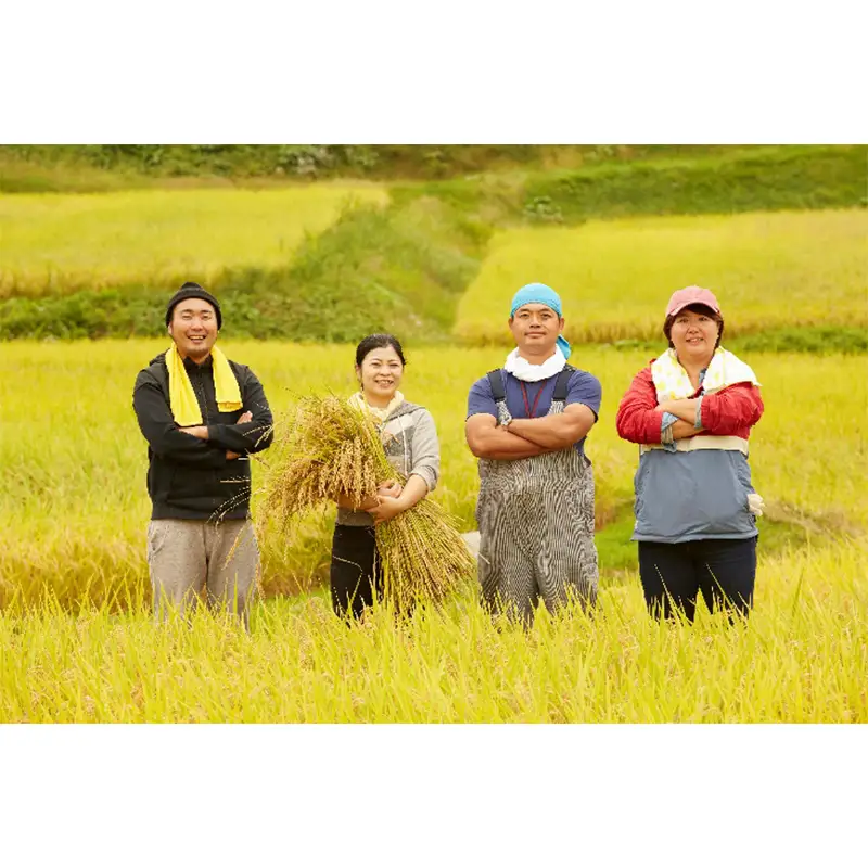 令和8年度新米 【山形県産】 コシヒカリ5kg～甘みと粘りの王道ブランド米～ F2Y-4802