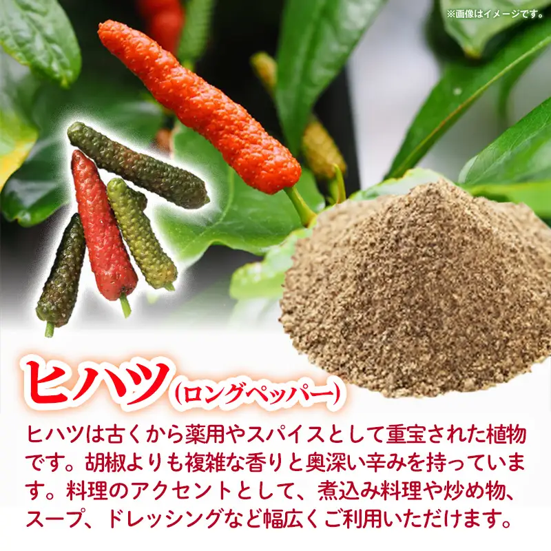 【先行受付・2026年発送】畑人のヒハツ 約1kg - ピパーチ ロングペッパー ヒバーチ ナガコショウ フィファチ 国産 沖縄県産 先行予約 スパイス 香辛料 おすすめ 送料無料 八重瀬町