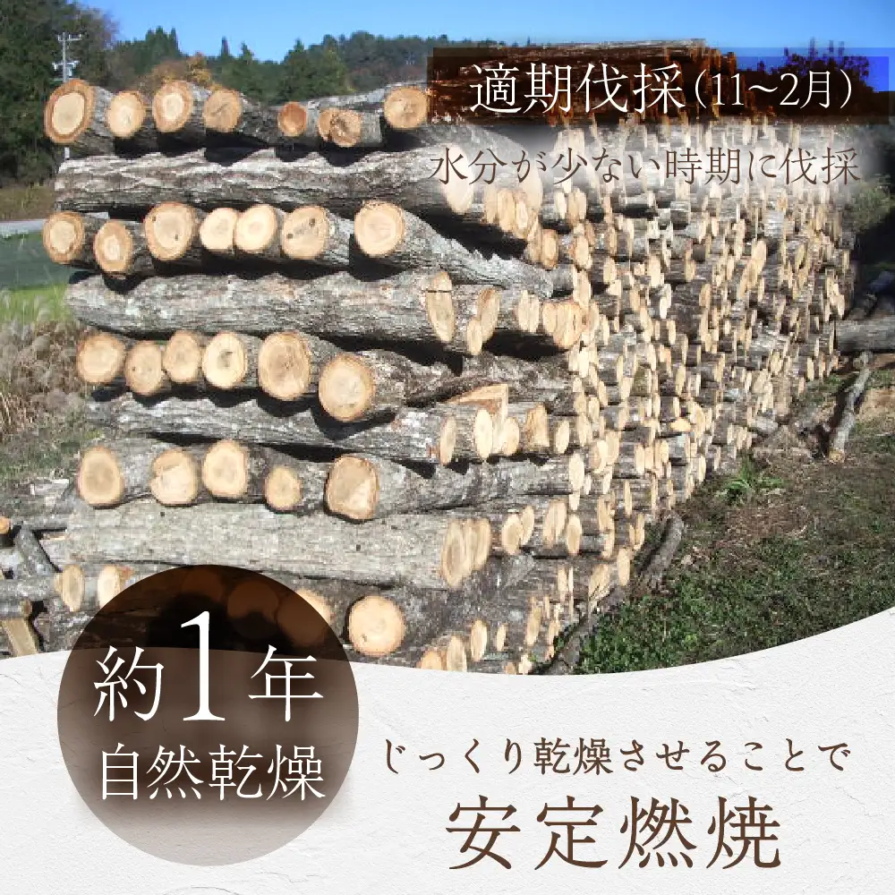 乾燥ナラ薪 1本あたり約30cm 約25kg | ナラ 楢 火持ち 燃焼 耐久力 乾燥 長持ち ストーブ 暖炉 薪ストーブ 大割 キャンプ 焚火 アウトドア 飛騨高山 三共工房 TC001