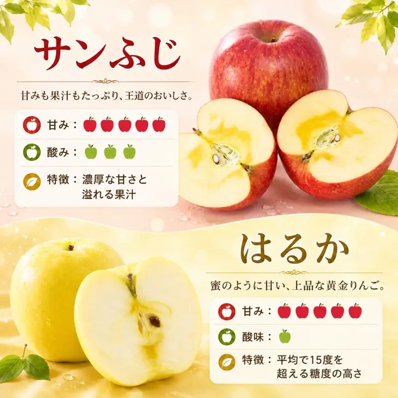 先行予約 年明け発送 訳あり りんご 10kg品種2種以上詰合せ りんご 期間限定 藤与果樹園fujiyo006st