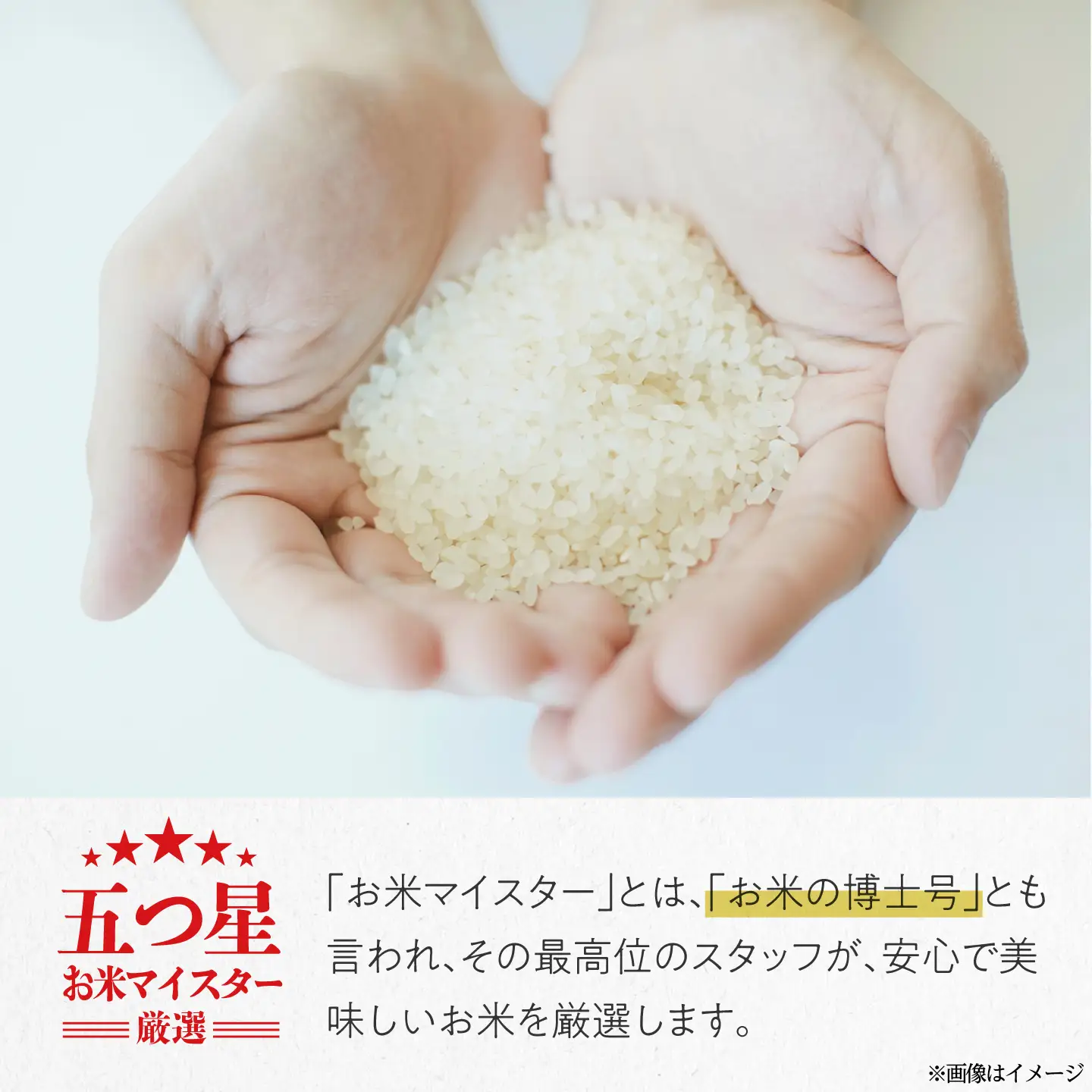 こしひかり 30kg 三次市 / 食協株式会社[APDK010]こしひかり