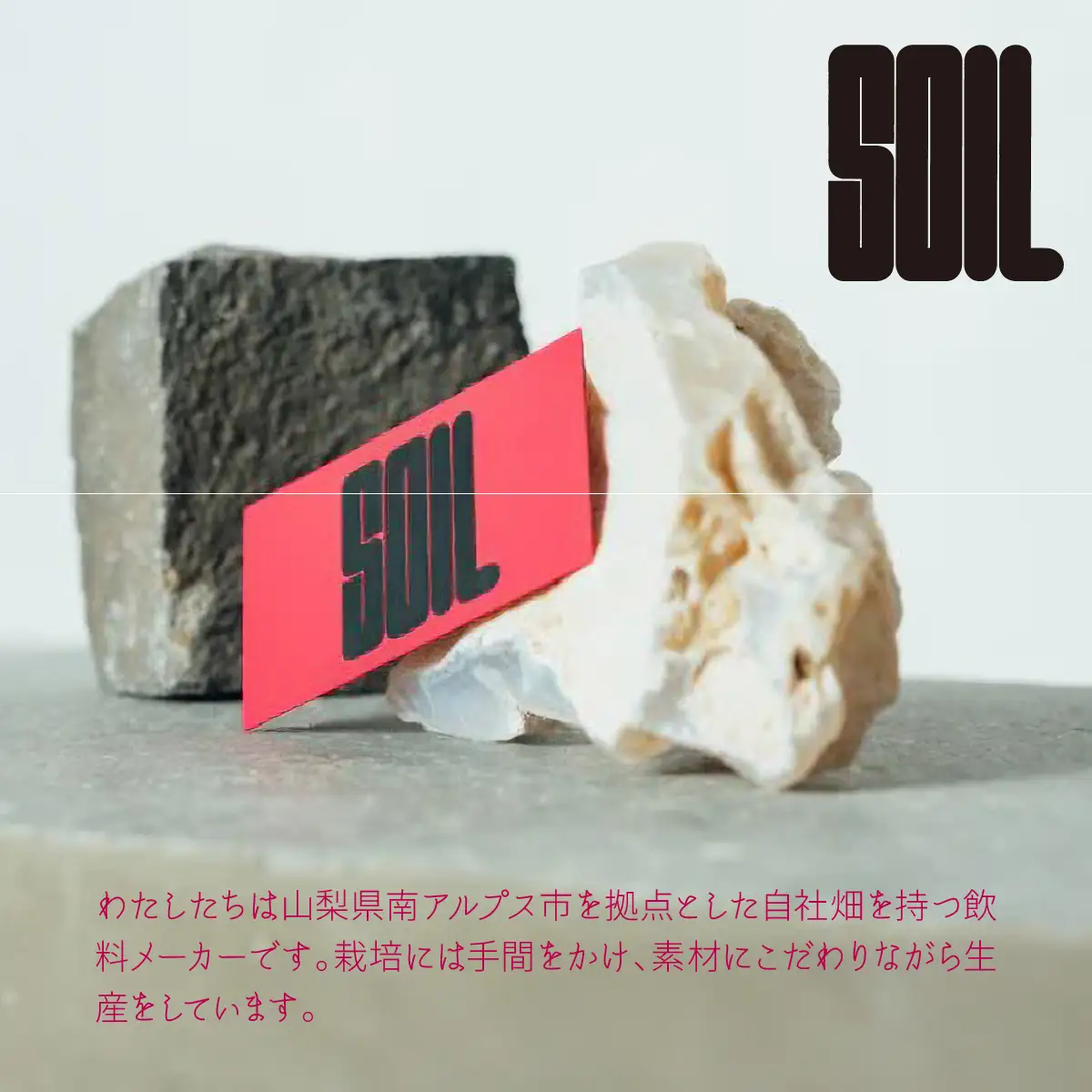 南アルプス市の大人の「夜のジンジャーシロップ」　1本（リラクシングホットアップルジンジャー） ALPDR003-e