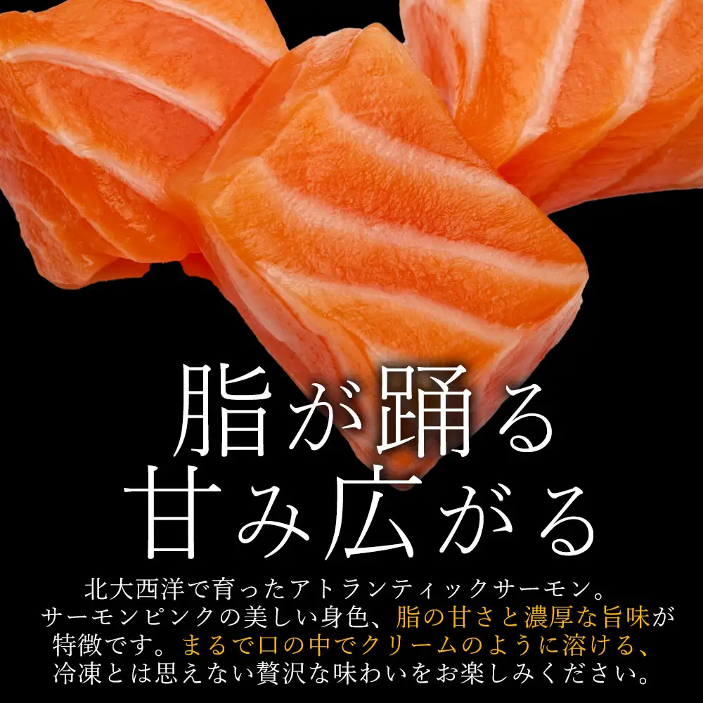 メルティーサーモン 300g～最大2kg 無添加 生食対応 フィレ 定期便対応