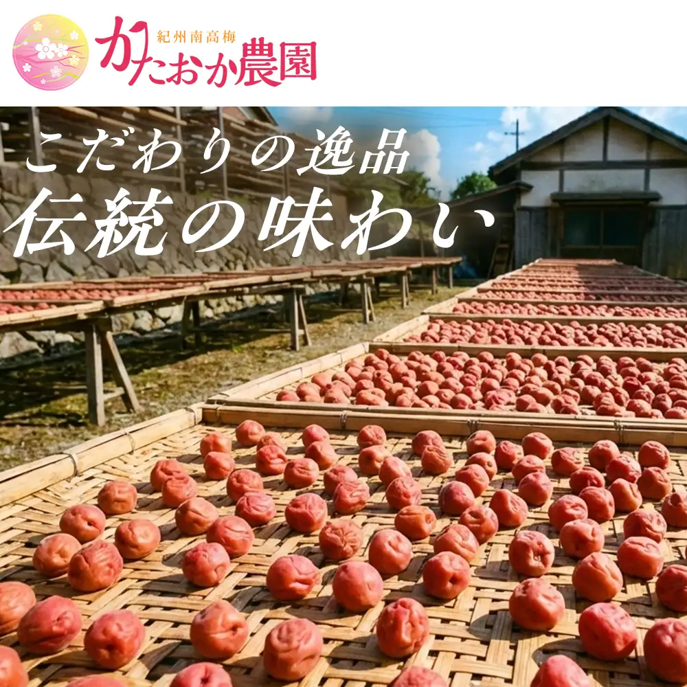【2026年6月以降発送予定】 昔ながらの塩が効いた梅干し からっからかなりしょっぱ梅（450g） ｜梅干し 梅干 無添加 無着色 自家栽培 国産 みなべ産 手作り こだわり 家庭用【ktok008】